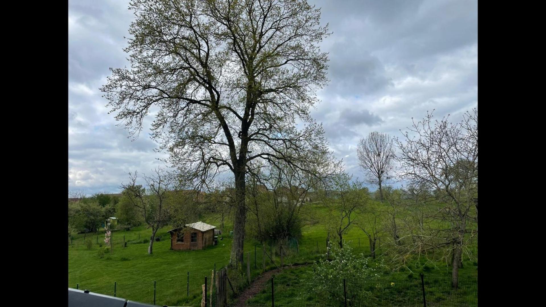 Maison 21 Zutzendorf ภายนอก รูปภาพ